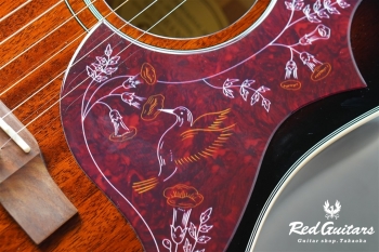 LTD HUMMINGBIRD PRO